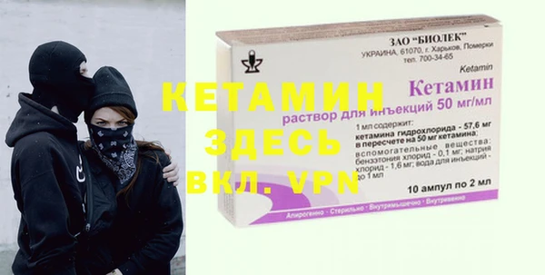 мет Алексин