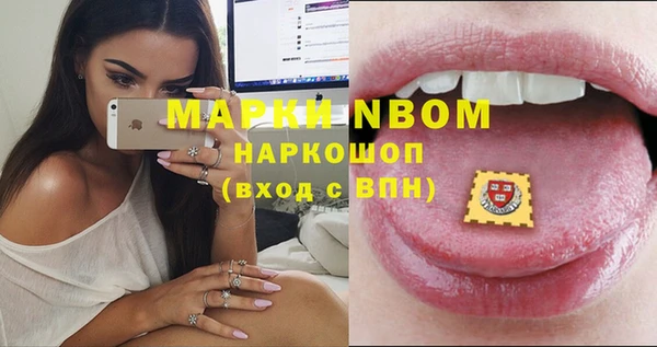 шишки Алексеевка