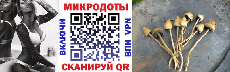 Галлюциногенные грибы мицелий  мориарти клад  Новая Усмань 