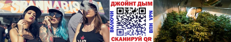 как найти   Новая Усмань  Марихуана гибрид 